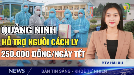Bản tin sáng  6/2: Quảng Ninh hỗ trợ mỗi người trong khu cách ly dịp Tết 250.000 đồng/ngày