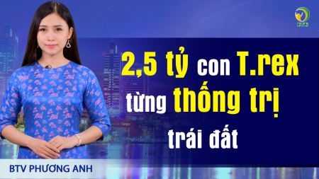Bản tin trưa 17/4: Đà Nẵng: Kiểm tra hàng hóa bán ở cổng trường sau vụ học sinh ngộ độc slime